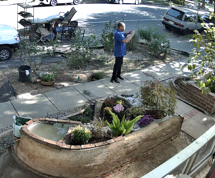 CCTV screenshot showing side profile of blue-shirt official using phone from the sidewalk.